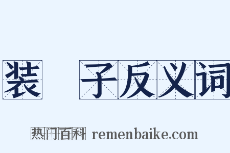 装殻子反义词是什么意思的图片